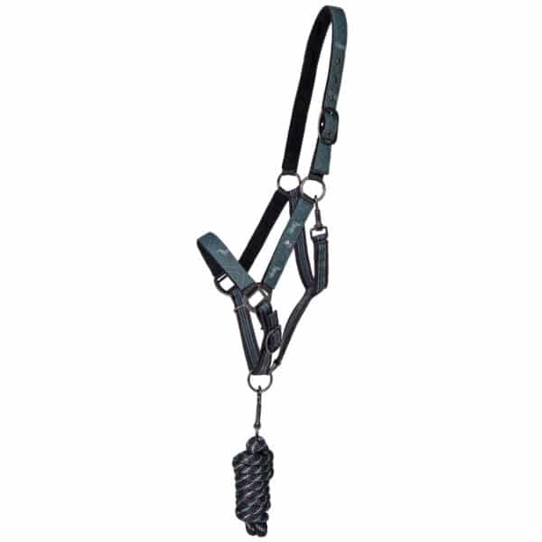 Ensemble licol et longe pour cheval QHP Emerald