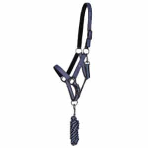 Ensemble licol et longe pour cheval QHP Sapphire