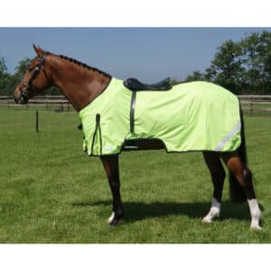 Couverture d'exercice pour cheval refléchissante QHP 180 g