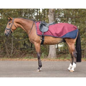 Couvre-reins imperméable pour cheval QHP collection Cherry