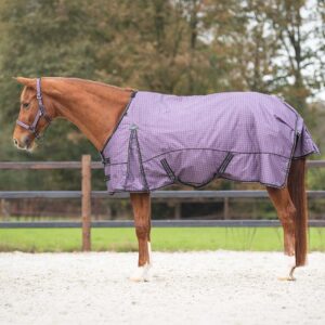 Couverture pour cheval QHP Amethyst 150g