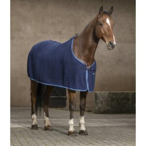 Chemise pour cheval Riding World Éponge