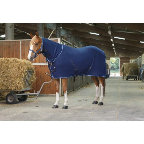 Chemise pour cheval Riding World Combo