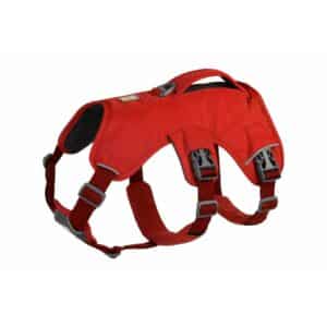 Harnais pour chien Ruffwear Web Master