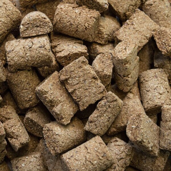 Friandise pour cheval - Cracker 500 g  Speed Speedies Delicious