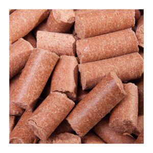 Friandise pour cheval - Carrot 5 kg  Speed Speedies Delicious