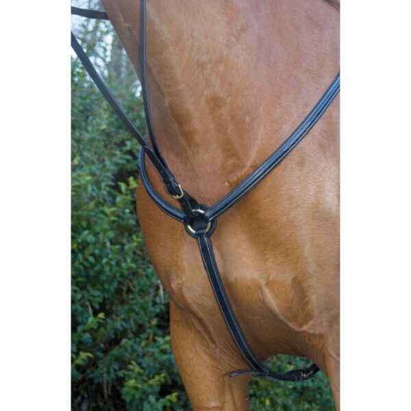 Collier de chasse pour cheval doubléT de T