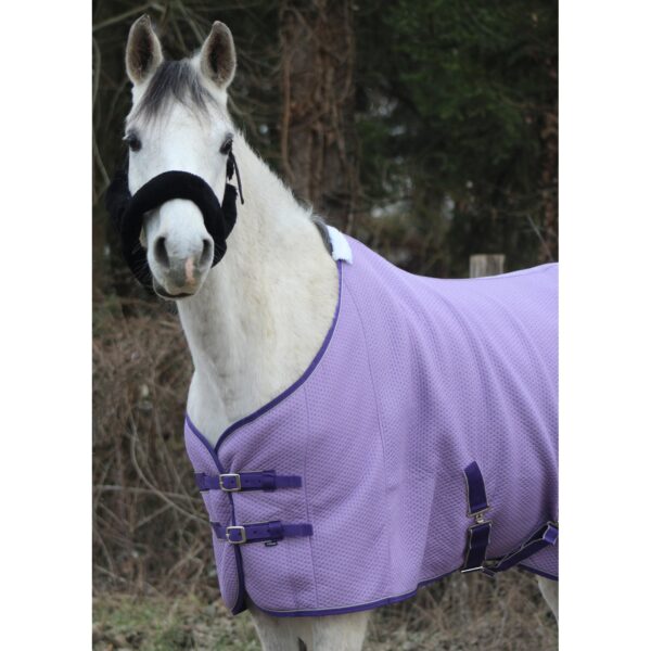 Chemise pour cheval micro jersey T de T