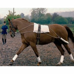 Enrênement élastique d'exercice pour cheval Tattini