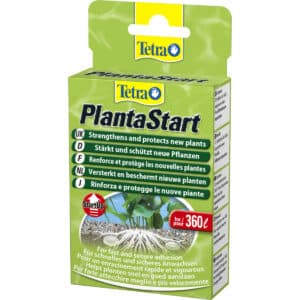 Produit d’entretien 12 comprimés Tetra Plantastart