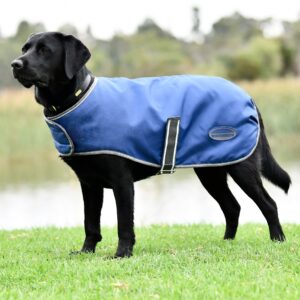 Manteau pour chien Weatherbeeta ComFiTec Windbreaker Free