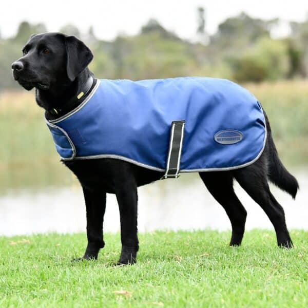 Manteau pour chien Weatherbeeta ComFiTec Windbreaker Free