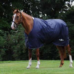 Couverture pour cheval col standard Weatherbeeta Saxon Defiant 600D