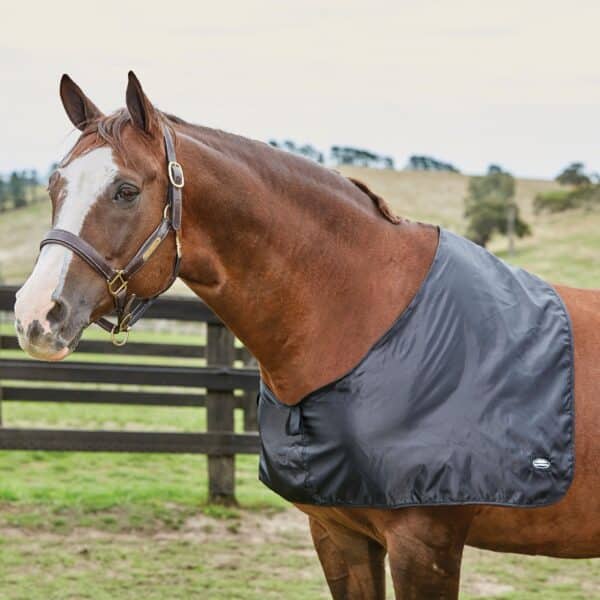 Protège-épaule satin pour cheval Weatherbeeta