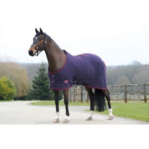 Couverture pour cheval col standard Weatherbeeta Waffle