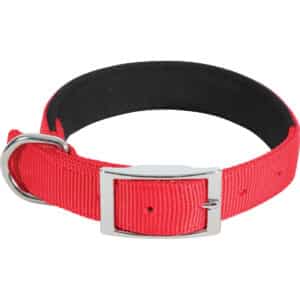 Collier pour chien Zolux