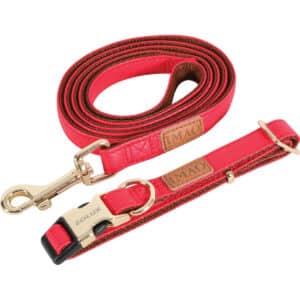 Collier réglable pour chien Zolux Imao Mayfair