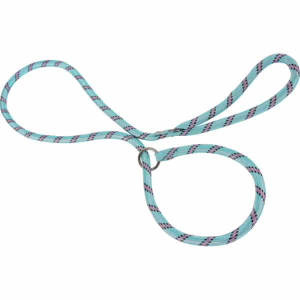 Laisse nylon corde lasso pour chien Zolux