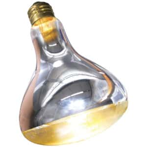 Lampe pour terrarium chauffante Zoomed SL250E