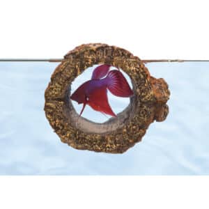 Décoration d’aquarium Zoomed Betta log bl10e