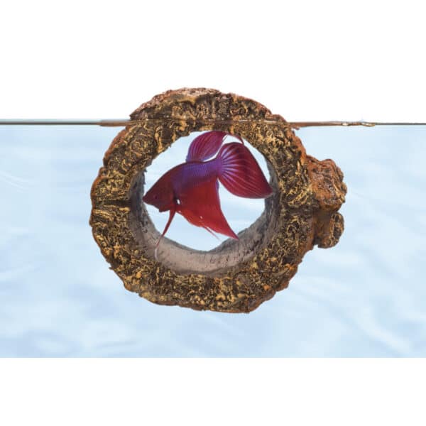 Décoration d’aquarium Zoomed Betta log bl10e